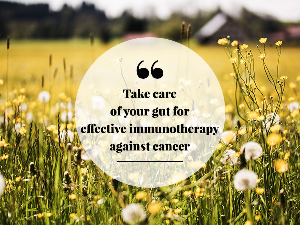 Take Care Of Your Gut For Effective Immunotherapy Against Cancer