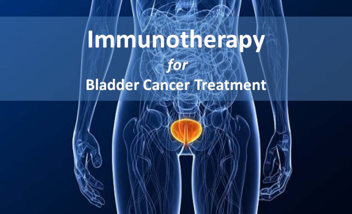 Immunotherapy for Bladder Cancer Treatment