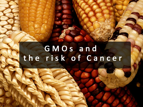 GMOs and the risk of Cancer