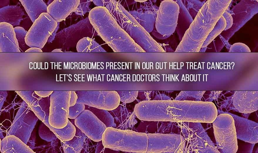 Could the microbiomes present in our gut help treat cancer? Let's see what cancer doctors think about it!