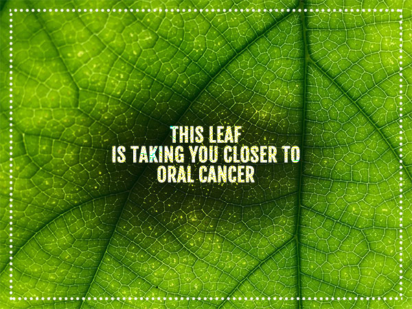 This Leaf is Taking You Closer to Oral Cancer