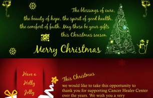 Merry Christmas 2014 - Newsletter